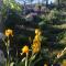 Domaine du Mas Foucray