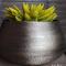 Apartma Sobe Pulec