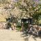 The Barn, Higher Boden, Manaccan, Helston, Cornwall - 赫尔斯顿