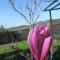 Apartma Sobe Pulec