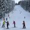 CHATA - SPORT - SKI