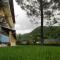 Anemona Studios