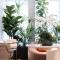 Hôtel Parisianer photo 14