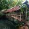 Tortugal Boutique River Lodge