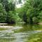 Daintree Crocodylus - Cow Bay