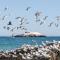 Kaalvoet Self-Catering Apartments