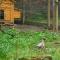 Doonbank Cottage Bothy