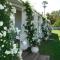 Goedehoop Guesthouse