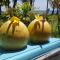 Bali Segara Lestari Oceanfront Villas