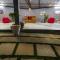 Wild Berry Resort Agonda