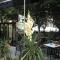 Hotel Ariston