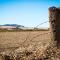 Foto: Barossa Vineyard Cottages 41/65