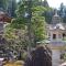 高野山 宿坊 恵光院 -Koyasan Syukubo Ekoin Temple- - Koyasan