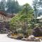 高野山 宿坊 恵光院 -Koyasan Syukubo Ekoin Temple- - Koyasan