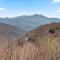 Ridgeview Cabin - Maggie Valley