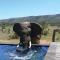 Pumba Private Game Reserve