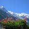 Hotel Le Chamonix