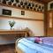 Rustical Apartment in Sumava National Park - Nová Pec