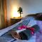 Rustical Apartment in Sumava National Park