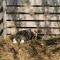 Ferme des Poulardieres - Crouy-sur-Cosson