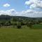 White Pond Farm