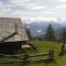 Hotel Pension Barbara - Sankt Martin am Tennengebirge