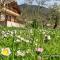 Chalet Coquelicot (Co-cli-co) relax in nature - Kalávryta