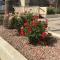 Americas Best Value Inn and Suites -Yucca Valley