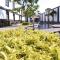 The Latit Hotel Querétaro - 克雷塔罗