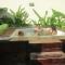 Hotel Amazon Bed And Breakfast