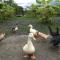 Beautiful Yilan Resort