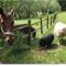 Borgo Rosso Country House B&B