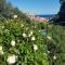 Villa Caterina