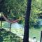 Wooden Village Resort