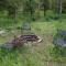 Remington Retreat by KABINO Dog Friendly FirePit Sleeper Sofa WiFi Grill