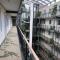 Haus Meeresblick Whg. 4.11