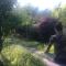 Pure-Land Villa