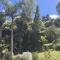 Fantail Hill