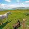 Cottage 215 - Claddaghduff