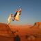 Jordan Tracks Bedouin Camp