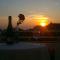 Pansion Margerita