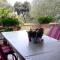 Apartman Rabatin