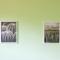 Oleander Rooms & Apartment