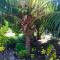 Simplicité Marquises