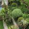 Kathmandu Garden Home Kathmandu Garden Home