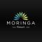 El Nido Moringa Resort - 爱妮岛