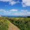 Saltwater - St Ives