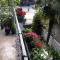 Homestay Izolda