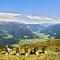 Historic Guesthouse BIRCHER B&B Apartments near Sterzing
