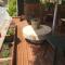Auberge du Teillon photo 23